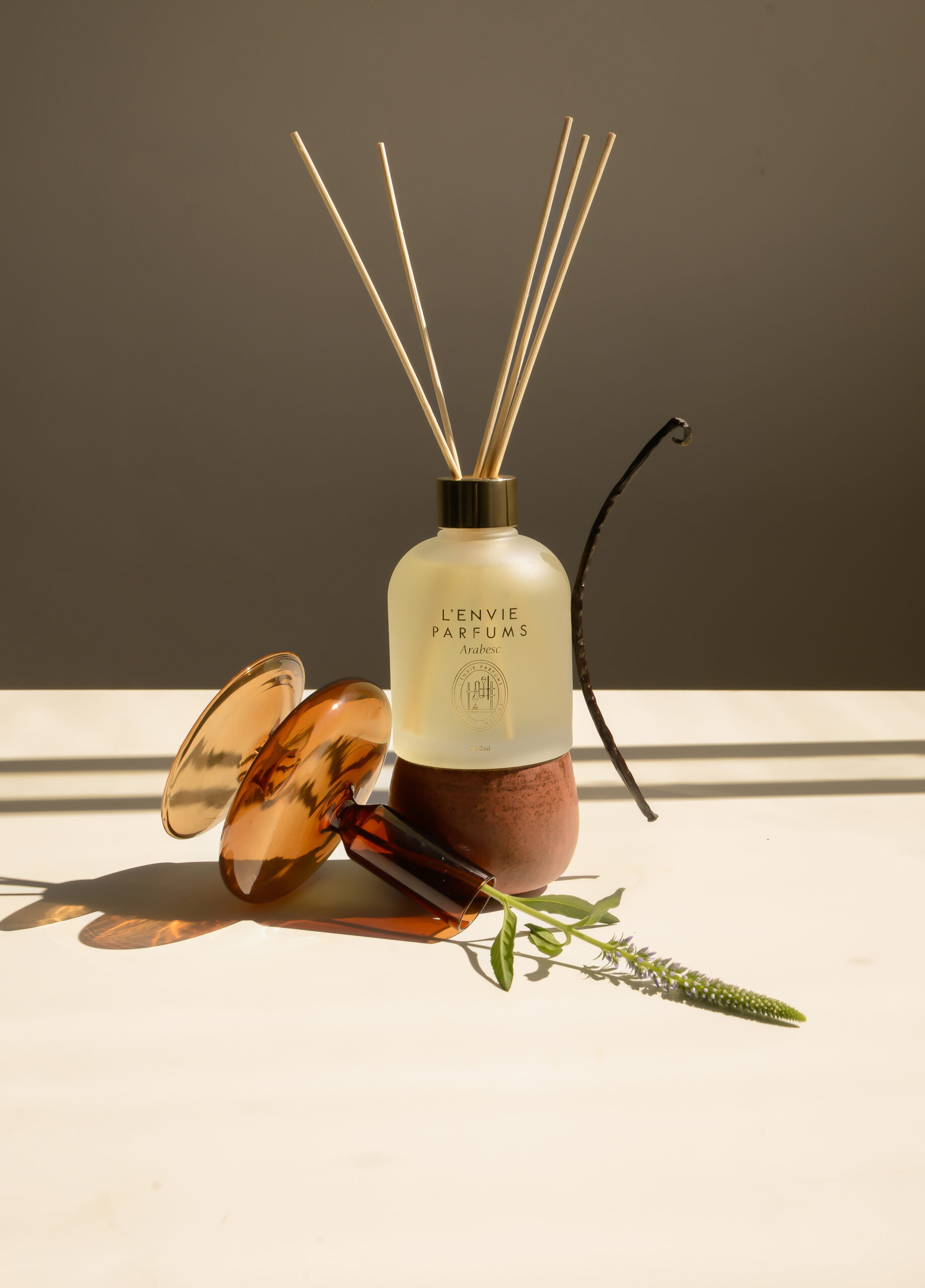 CopyRight[Luciano Tallada Sato]