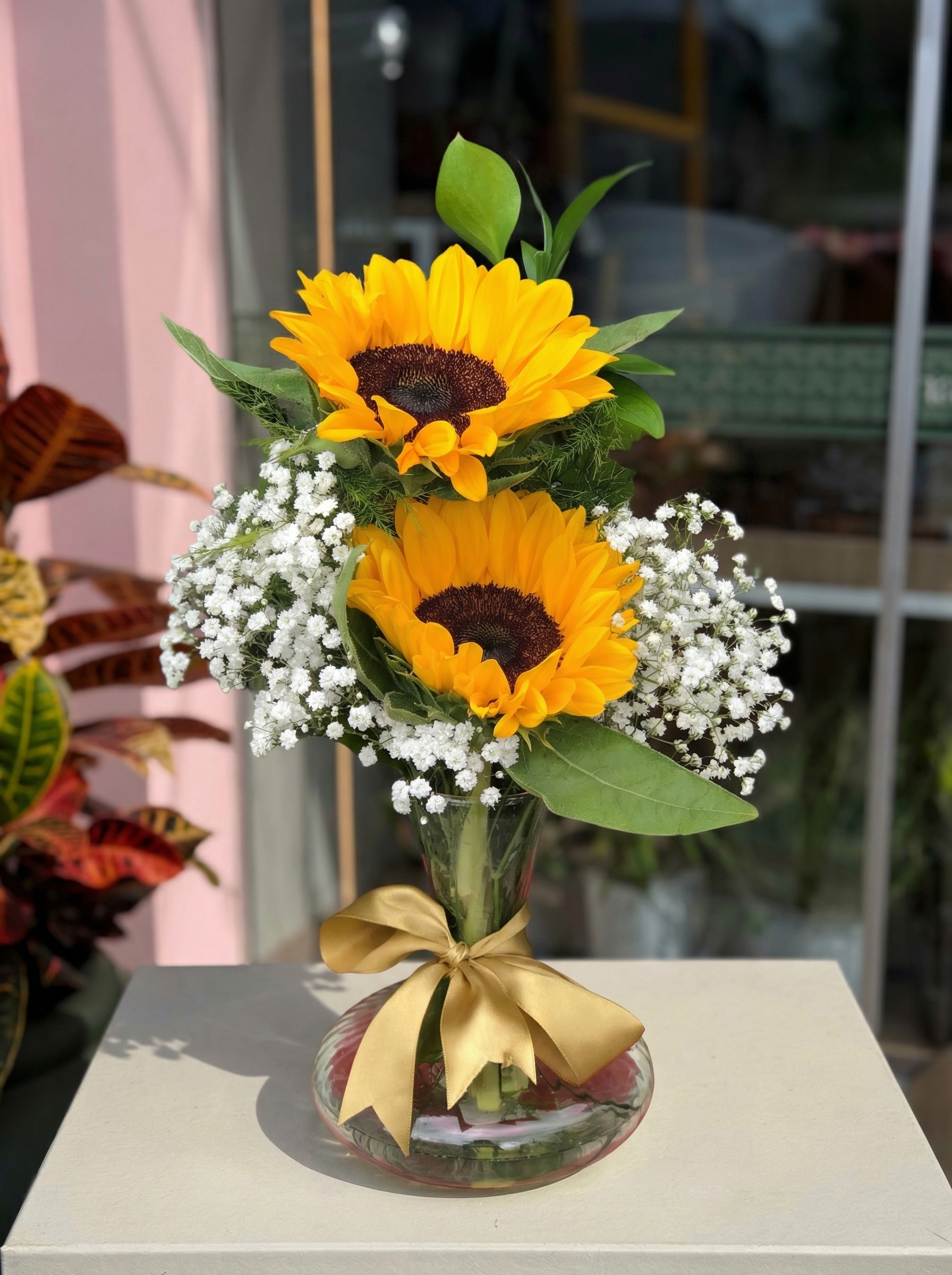 troque_o_fundo_202604071152